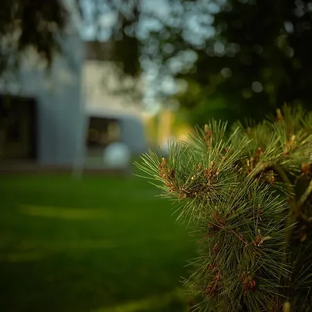 Skarpa * 尤斯托尼莫斯基