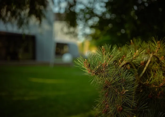 Skarpa * Ustronie Morskie